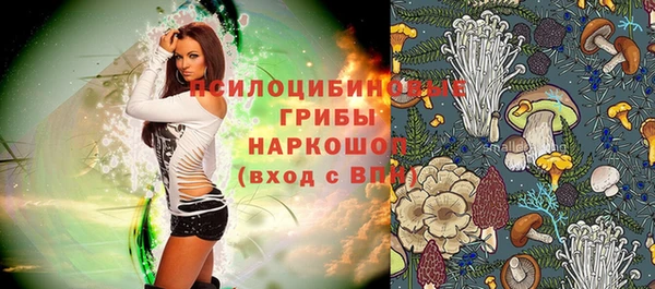 ALPHA PVP Баксан