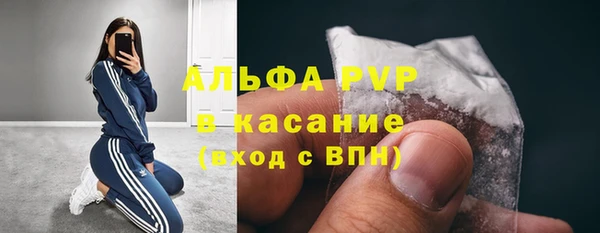 прущие крисы Белокуриха